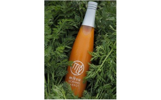 H-22 にんじん100％ジュース詰合せ